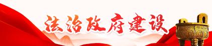 法治政府建設